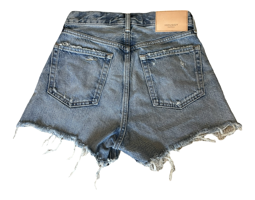 Moussy Vintage Shorts (25)