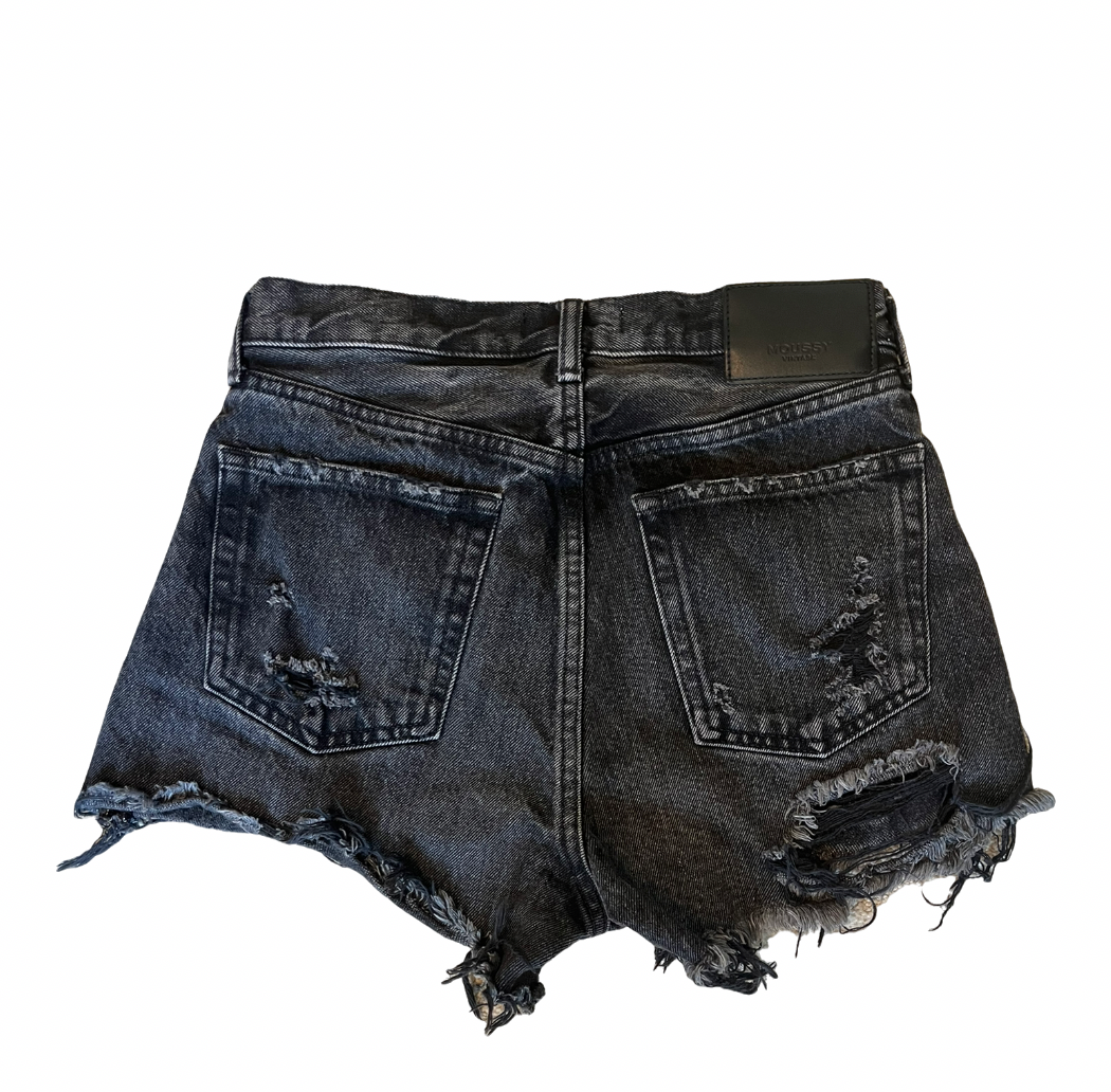 Moussy Shorts (25)